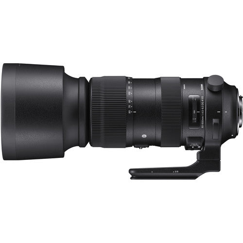 Buy Sigma 60-600mm F4.5-6.3 DG OS HSM Sports Lens for Nikon F side