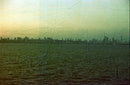 Revolog Streak Color 35mm Film - ISO 200