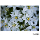 Tamron 50-400mm f/4.5-6.3 Di III VC VXD Lens for Sony E